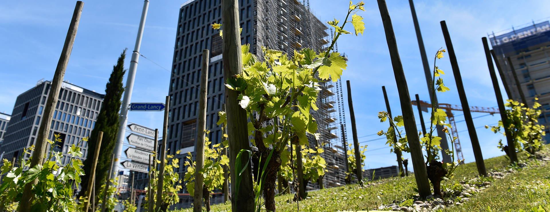 Lancy invite la population à concevoir son développement urbain