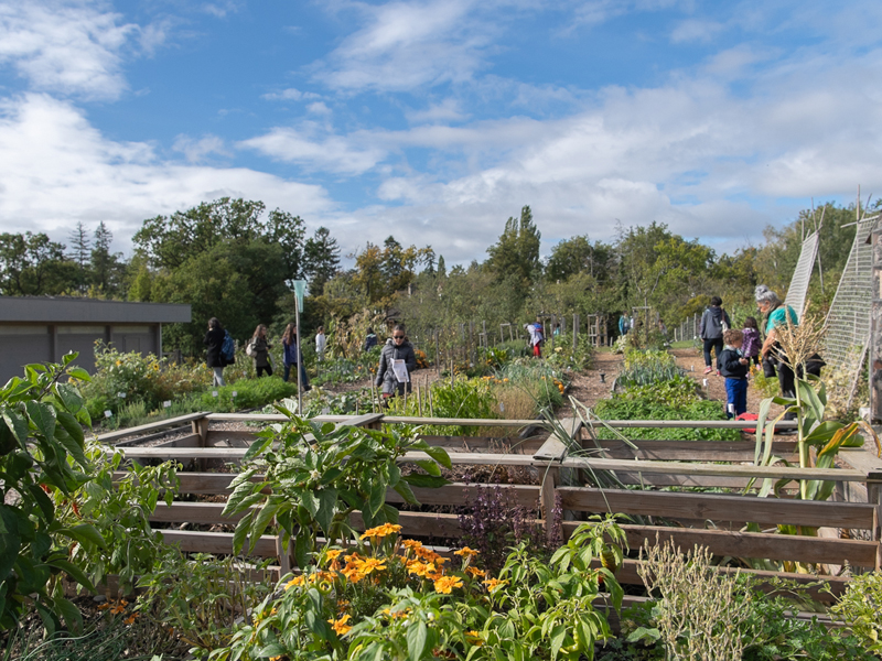 Fête de l'Abeille et du Terroir 2019