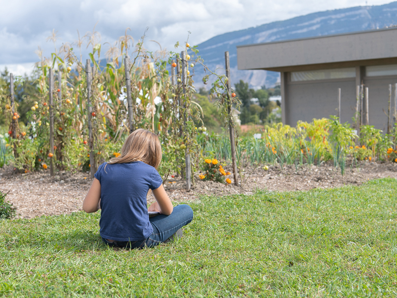 Fête de l'Abeille et du Terroir 2019