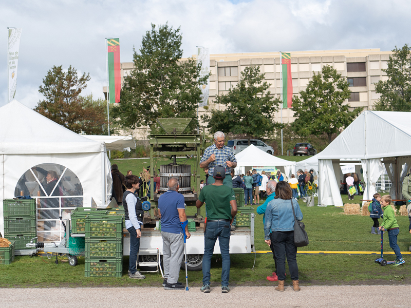 Fête de l'Abeille et du Terroir 2019