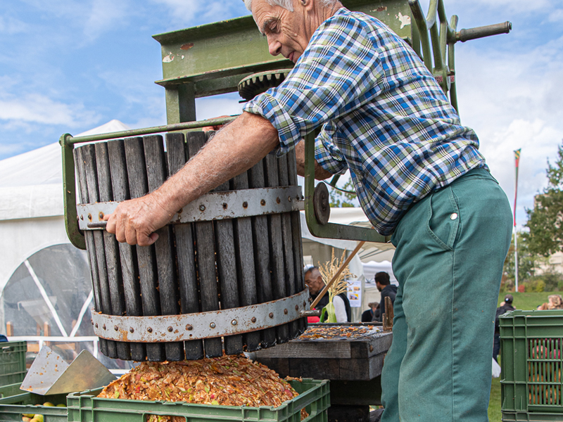 Fête de l'Abeille et du Terroir 2019