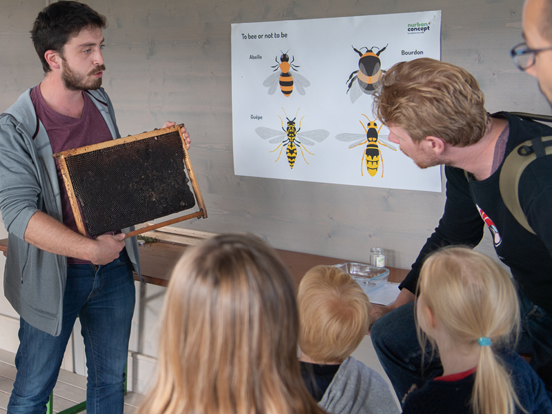 Fête de l'Abeille et du Terroir 2019