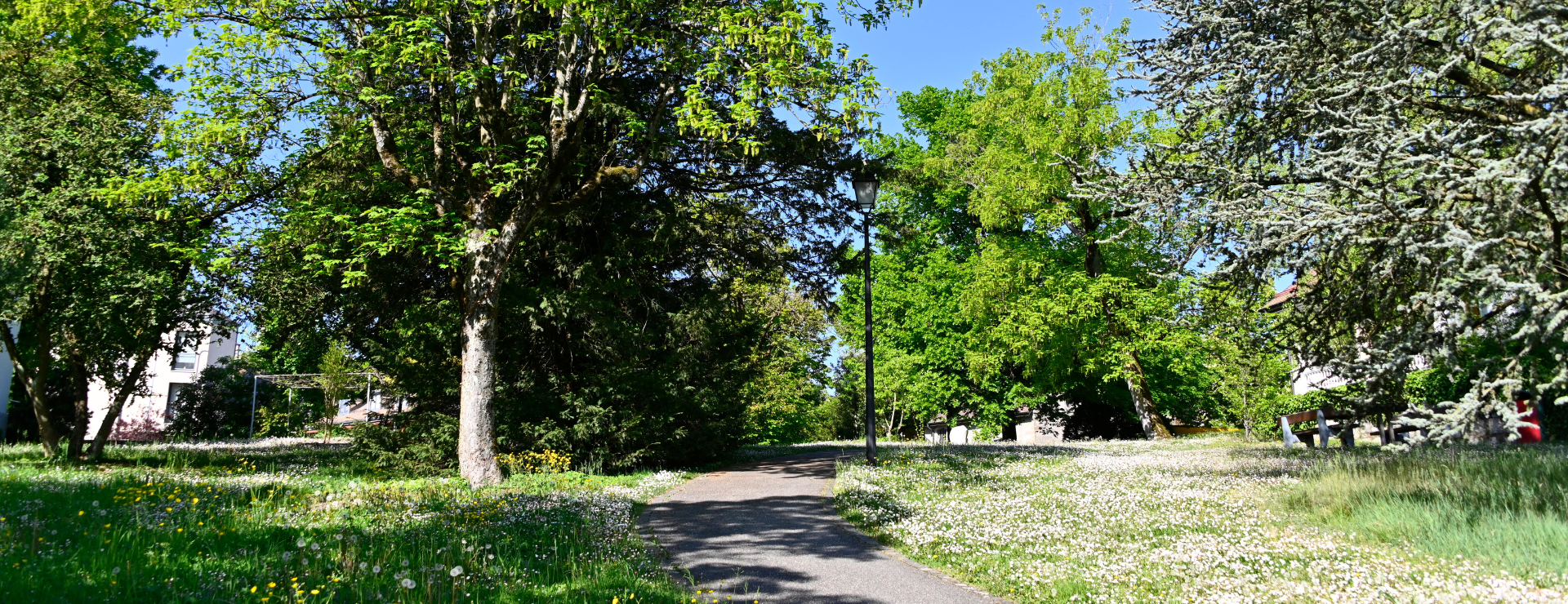 Environnement et espaces verts