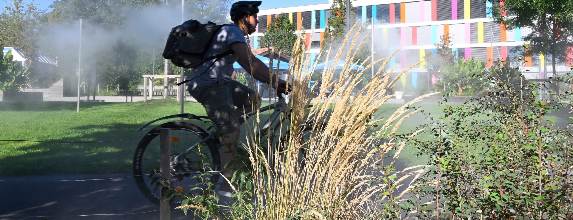 Stratégie de développement durable à Lancy