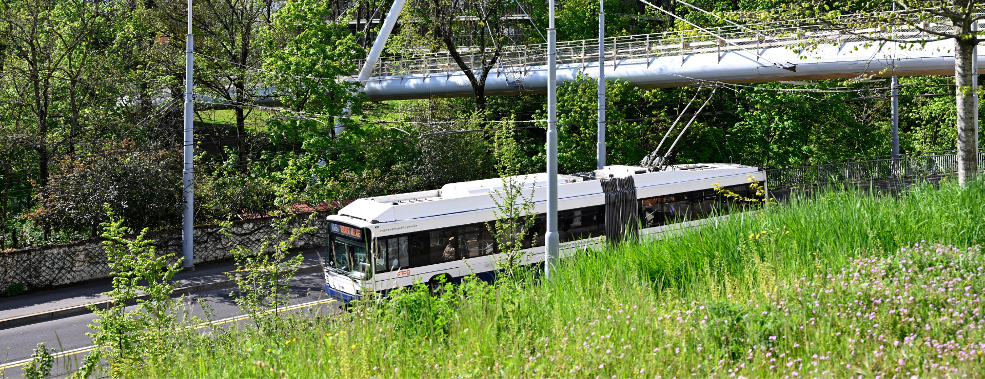 Nuisances dans les espaces publics