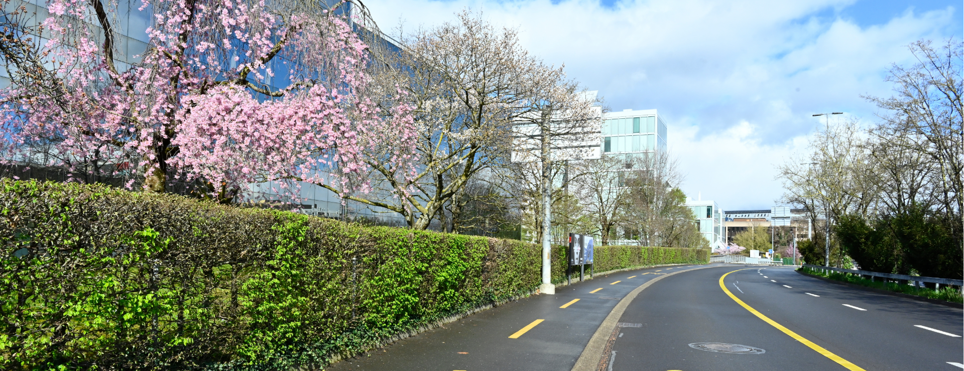 Promotion économique