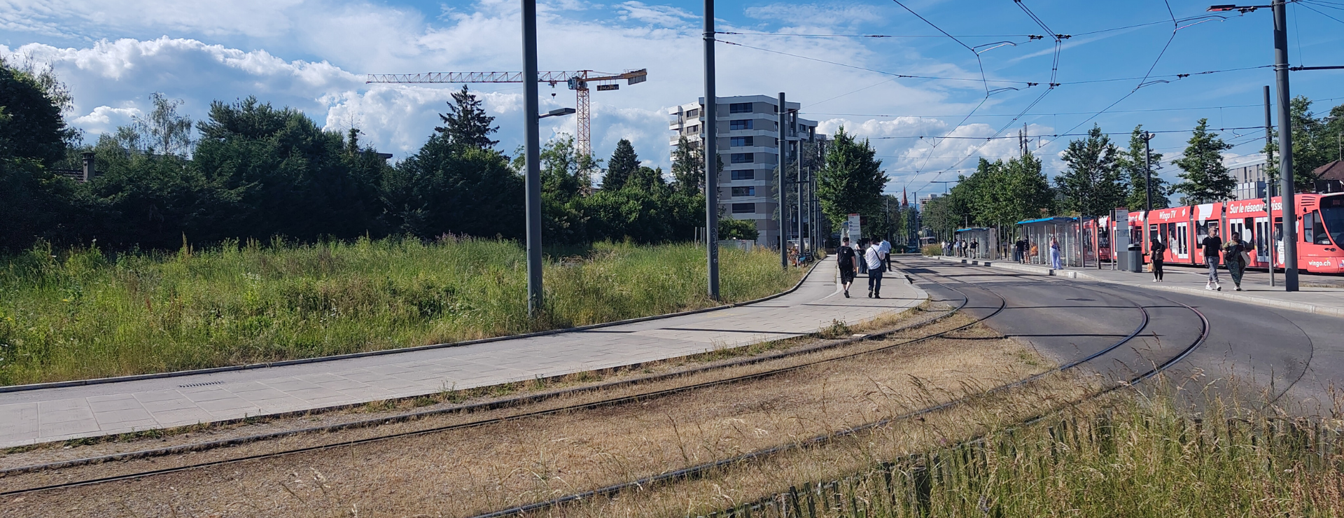 Pépinière urbaine