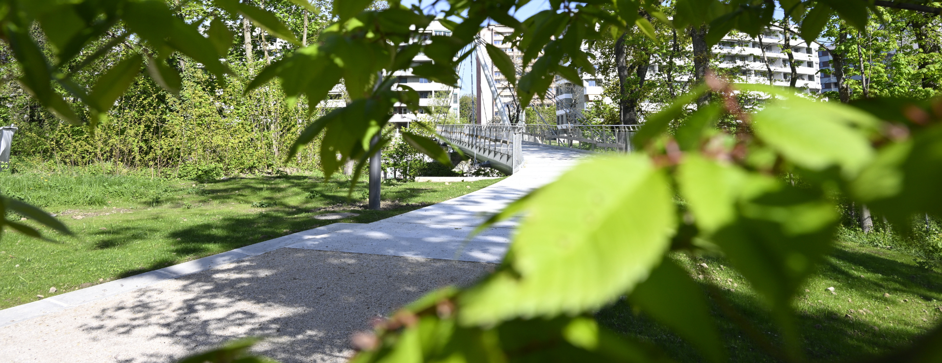 Passerelle de La Visiteuse