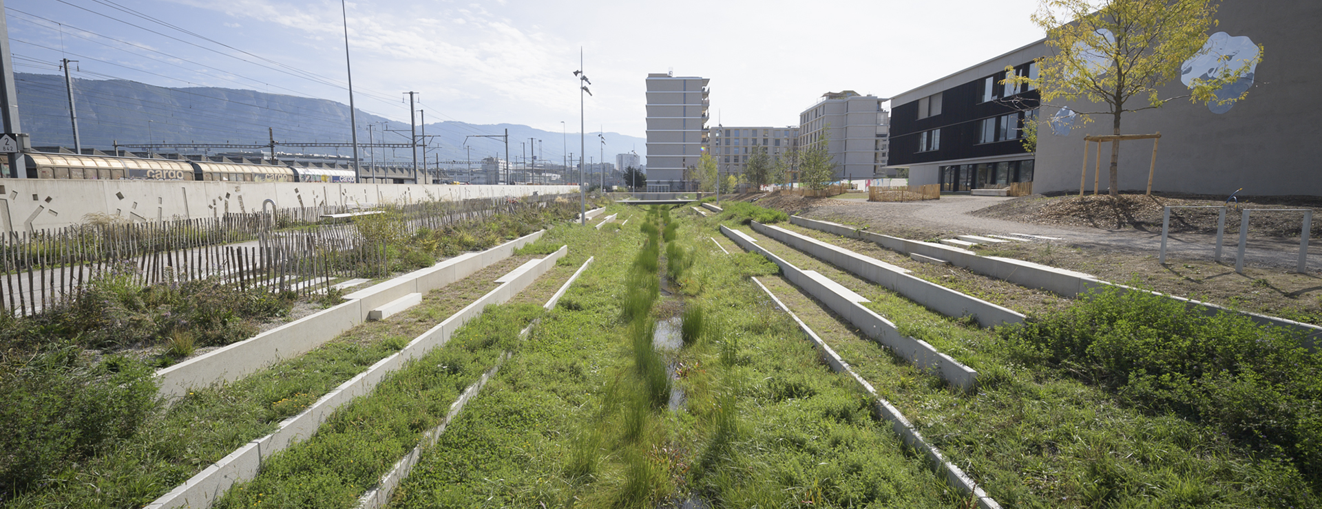 Environnement et espaces verts (7677)