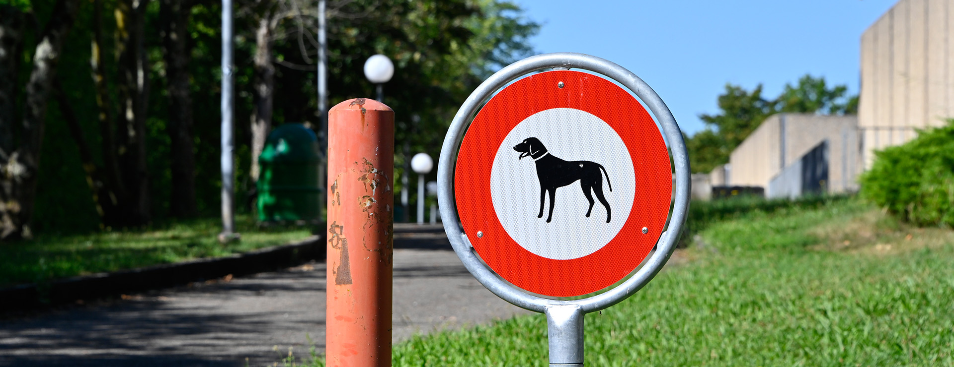 Campagne communale pour des espaces publics propres sans déjections canines