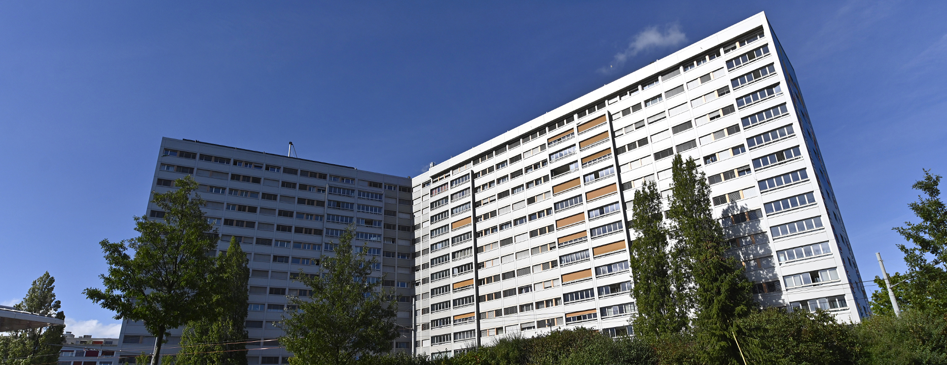 L’Espace 62-antenne Manivelle ouvre aux Palettes