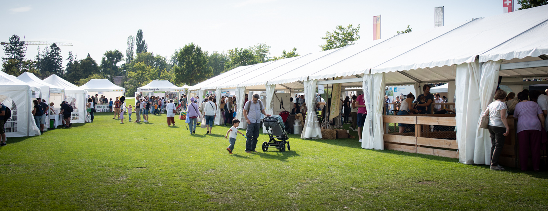 fete de l'abeille