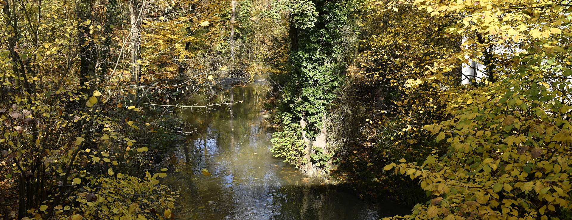 Renaturation des berges du Voiret et du Petit-Voiret 