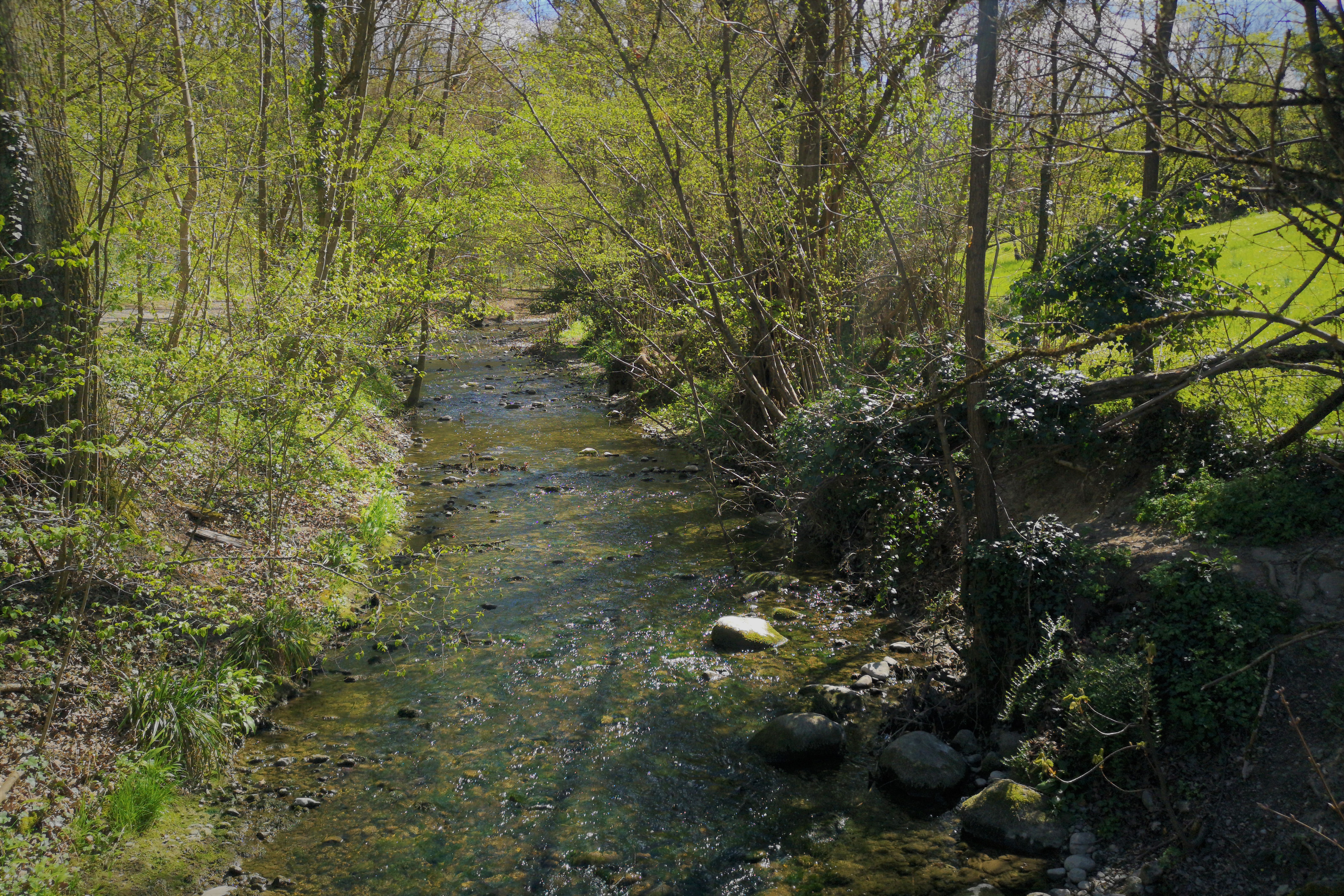 [Partenariat] Préserver le Vallon de l’Aire: un engagement fort entre le canton et les communes