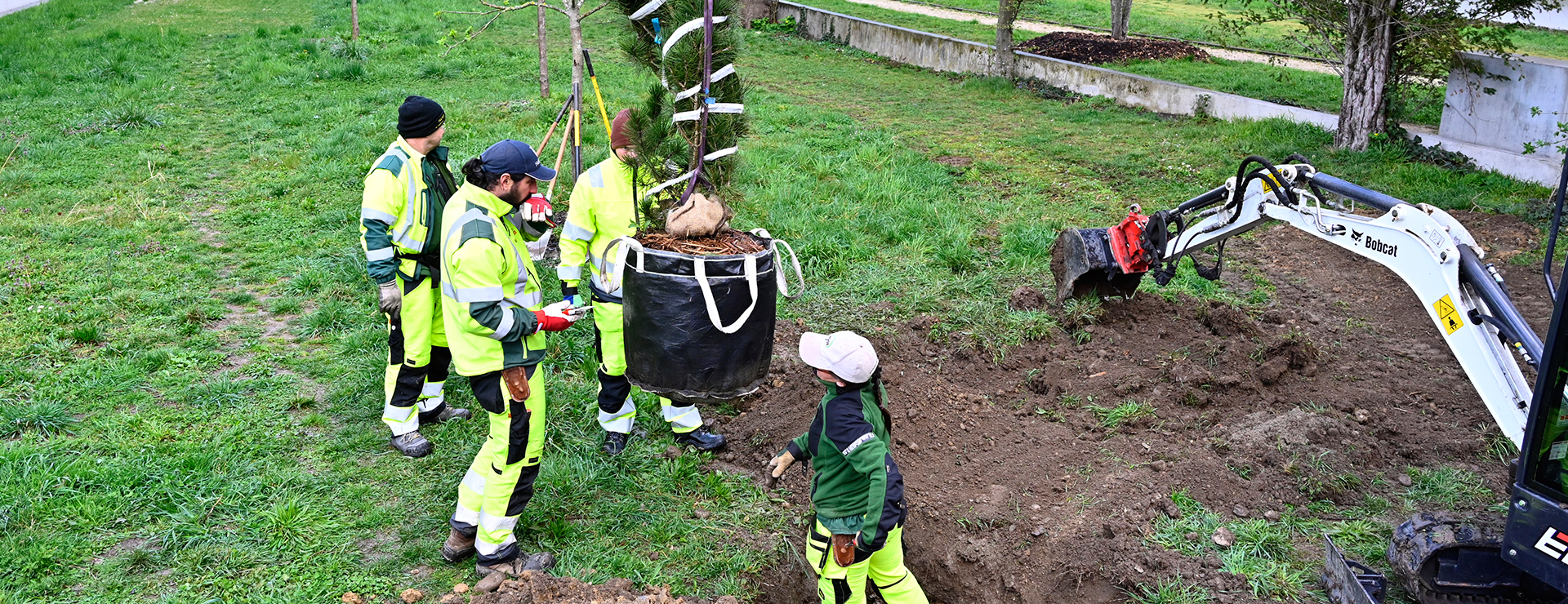 Environnement et espaces verts