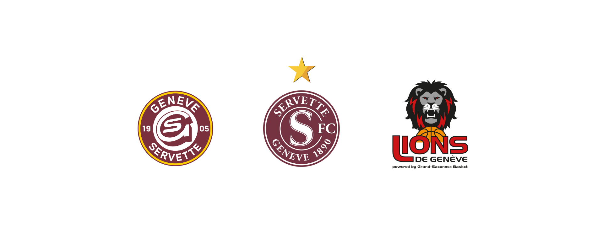 Billets pour les matchs du SFC, du GSHC et des Lions de Genève