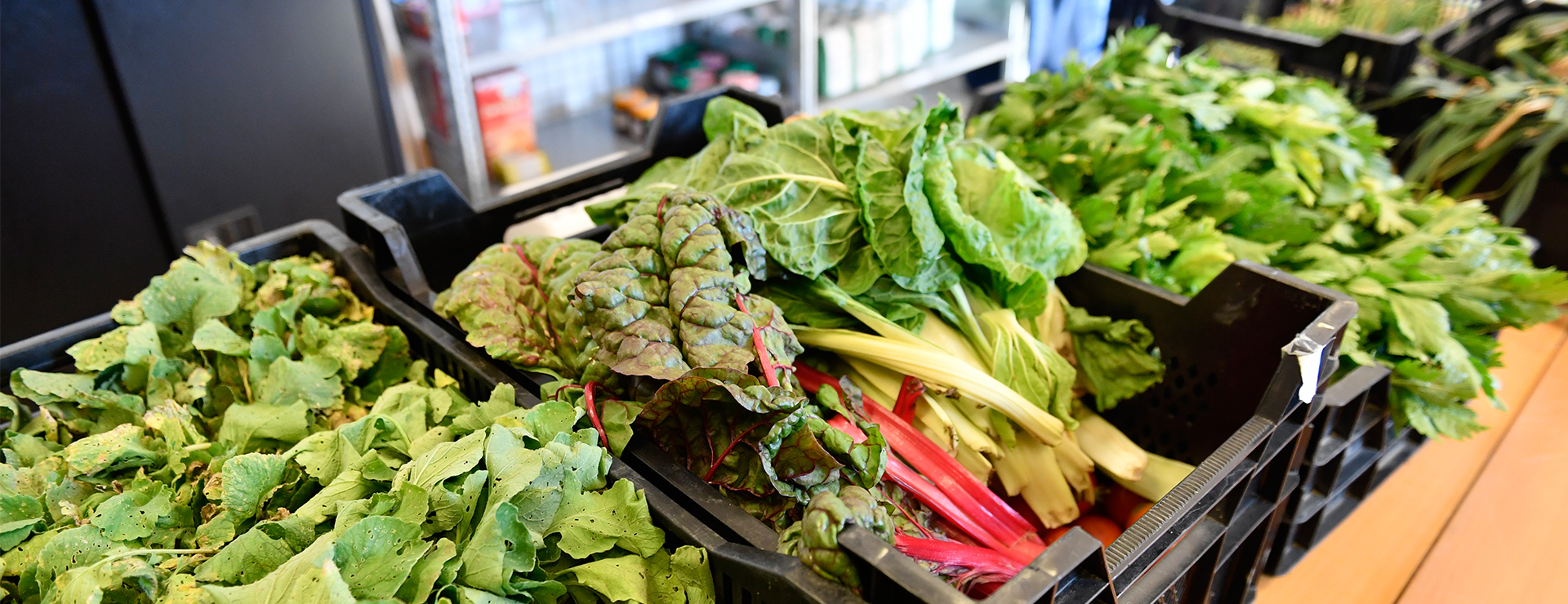 Épicerie solidaire