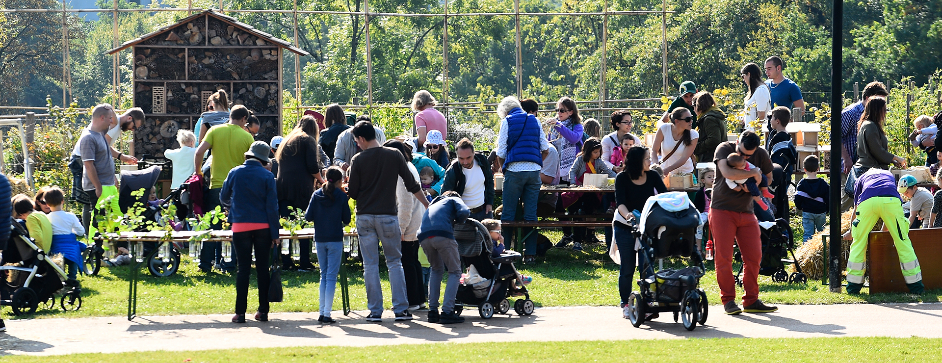 Fête de l'Abeille et du terroir