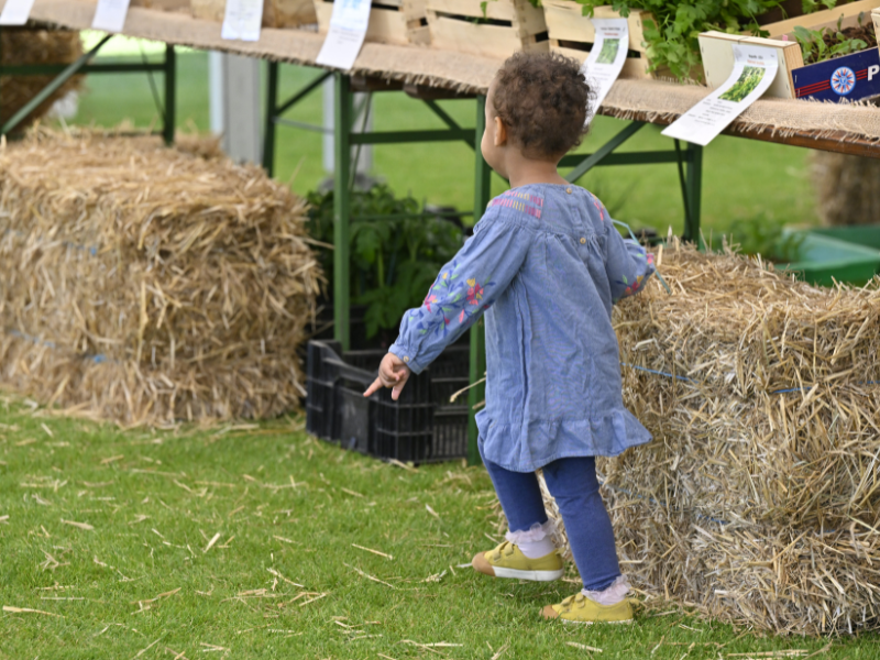 Faites du jardin ! 2025 en images
