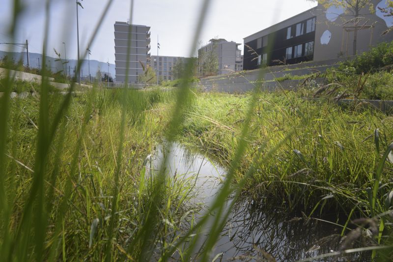 Journée « Eau en Ville » en images