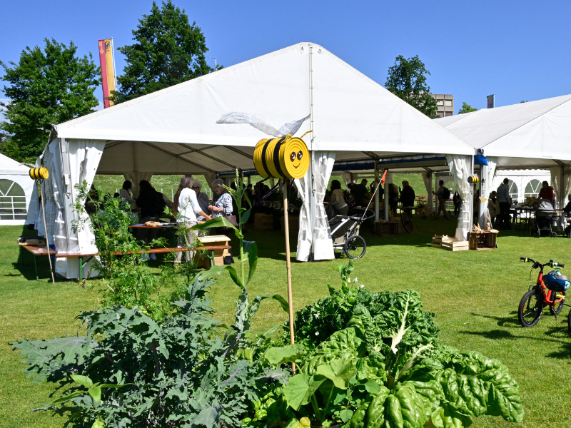 Faites du jardin ! 2025 en images