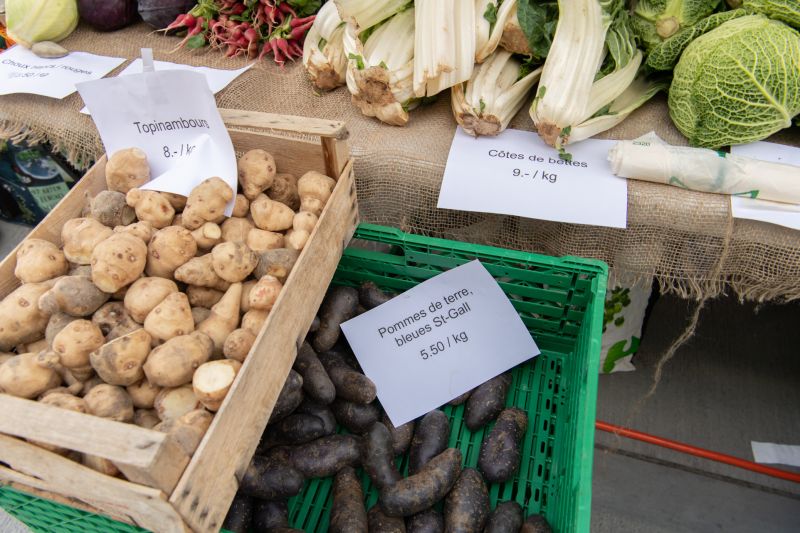 Inauguration du marché de Pont-Rouge 