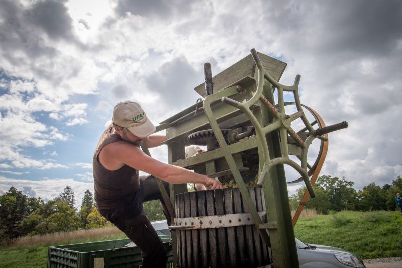 Fête de l'Abeille et du Terroir 2022 en images