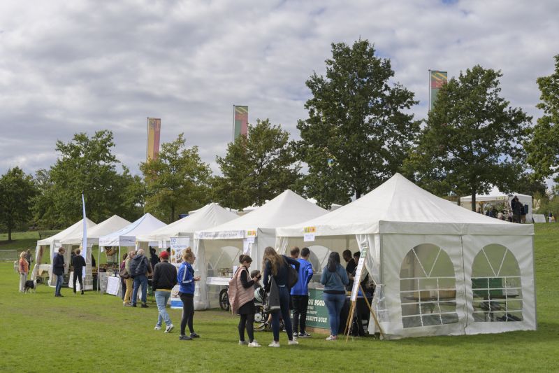 Fête de l'Abeille et du Terroir 2023