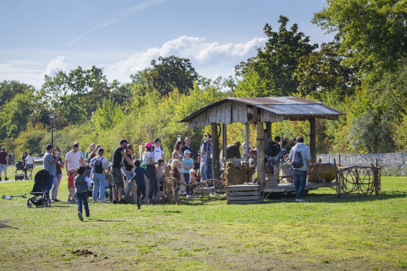 Fête de l'Abeille et du Terroir en images