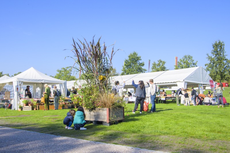 Fête de l'Abeille et du Terroir en images