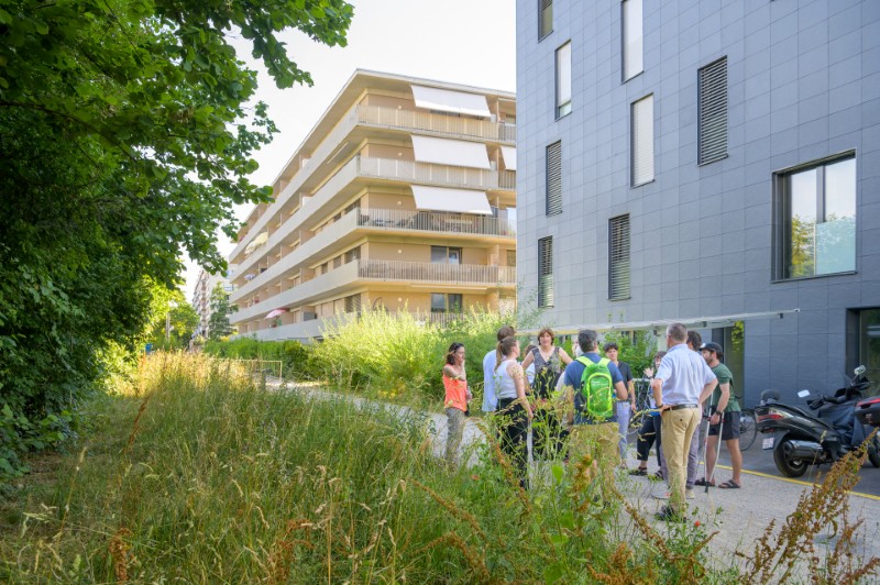 Ateliers participatifs des Semailles