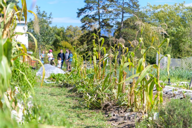 Fête de l'Abeille et du Terroir en images