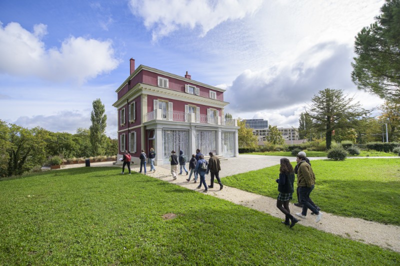 Mosaïque urbaine 2024 en images