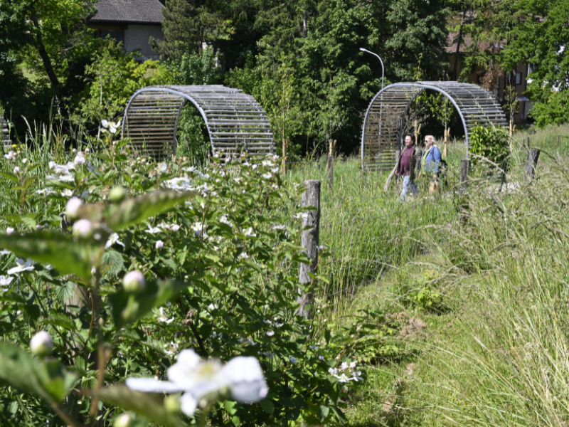Faites du jardin ! 2025 en images