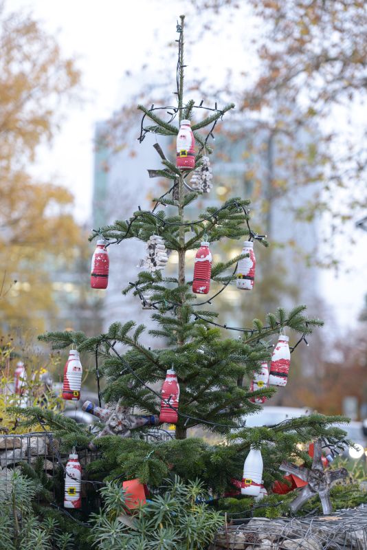 Sapins de Noël 2022