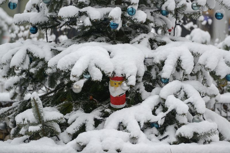 Sapins de Noël 2023 dans Lancy en images