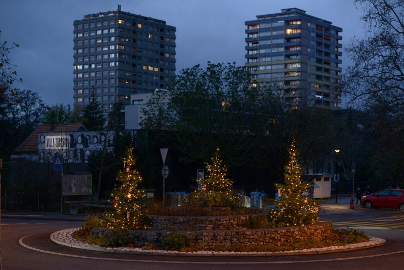 Sapins de Noël 2023 dans Lancy en images