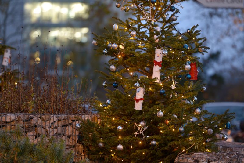 Sapins de Noël 2023 dans Lancy en images