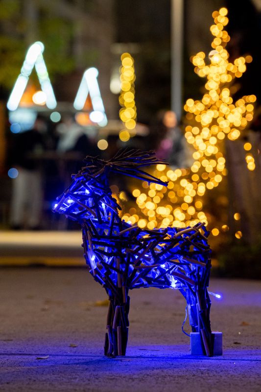 Marché de Noël de Lancy 2022