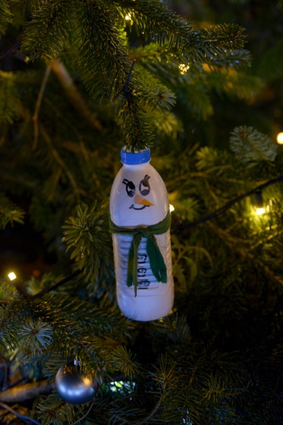 Sapins de Noël de Lancy