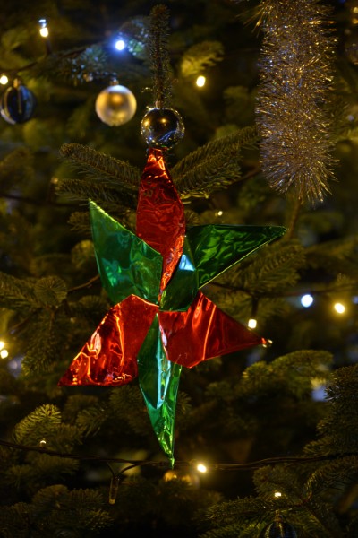 Sapins de Noël de Lancy