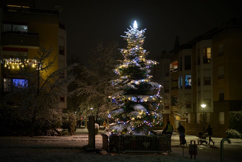 Sapins de Noël 2023 dans Lancy en images