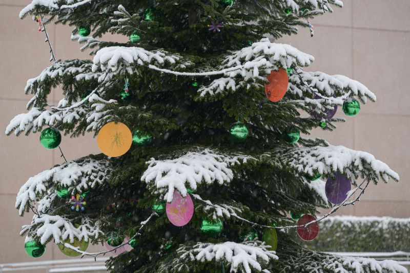 Sapins de Noël 2023 dans Lancy en images
