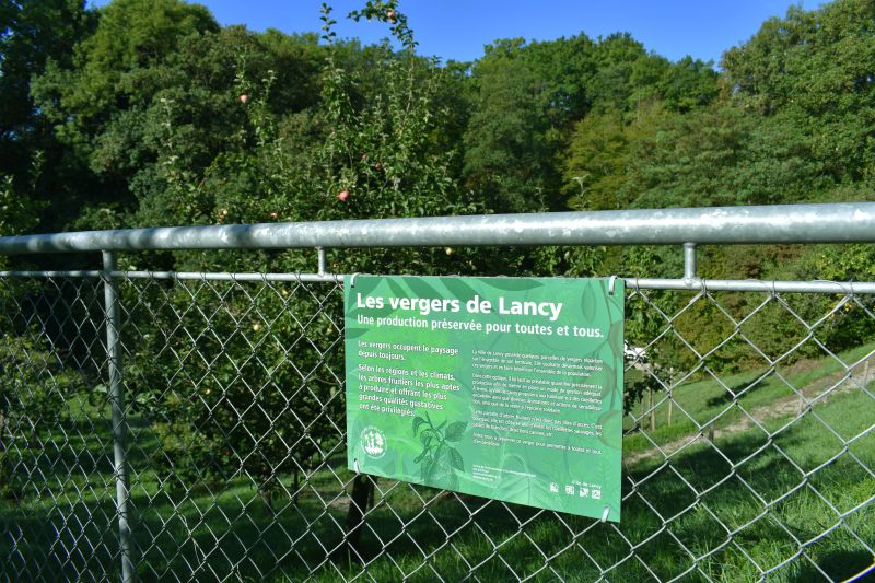 Les vergers communautaires de Lancy