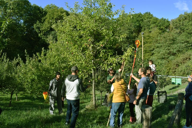 Les vergers communautaires de Lancy