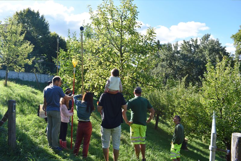 Les vergers communautaires de Lancy