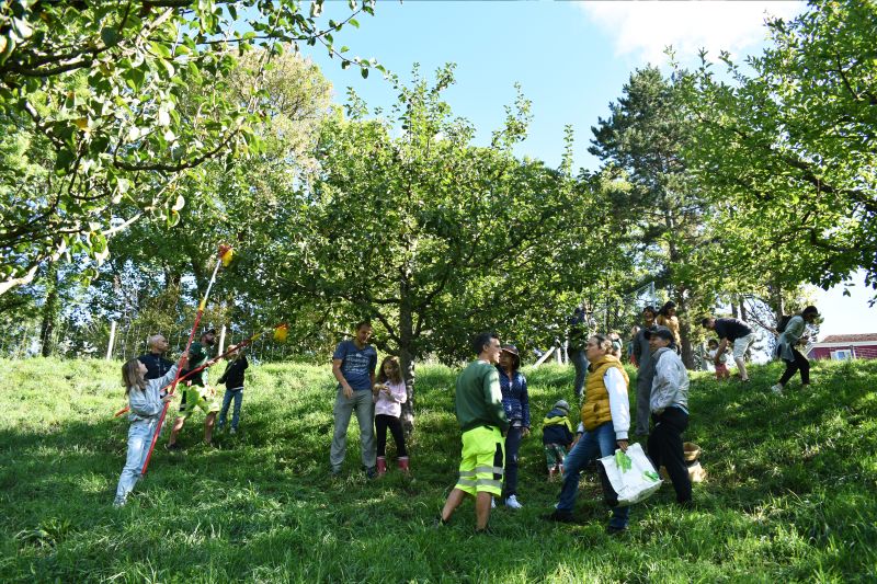 Les vergers communautaires de Lancy