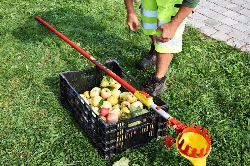 Les vergers communautaires de Lancy