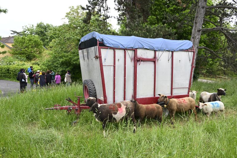 Faites du jardin ! 2023 en images