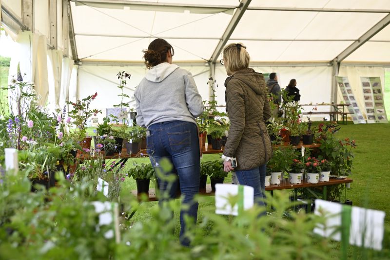 Faites du jardin ! 2023 en images